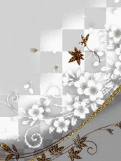 Grey Animation