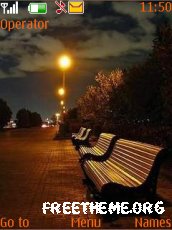 Stay Lonely